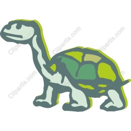 Charming Turtle