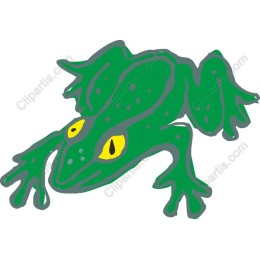 Green Frog