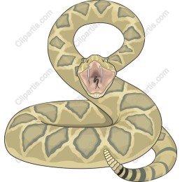 Coiled Snake