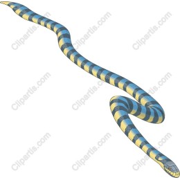 Blue and Yellow Striped Snake