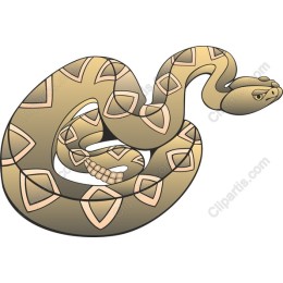 Stylized Snake