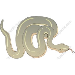 Elegant Snake