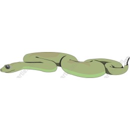 Green Snake