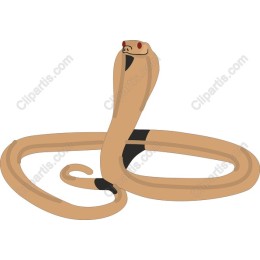 Stylized Cobra