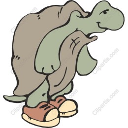 Charming Turtle