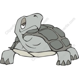 Charming Turtle