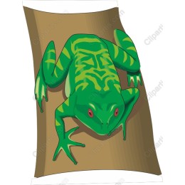 Vibrant Green Frog