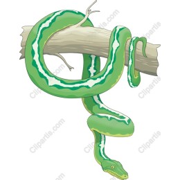 Green Python