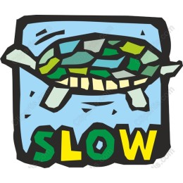Slow Turtle