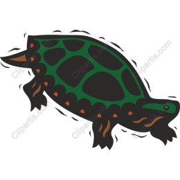 Playful Turtle