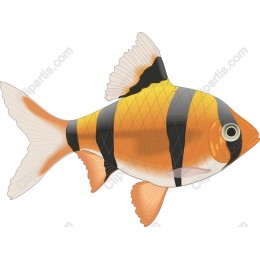 Vibrant Orange and Black Striped Fish