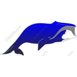 Majestic Whale