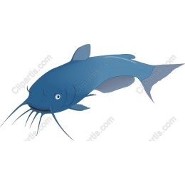Blue Catfish