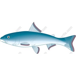 Aquatic Elegance Fish