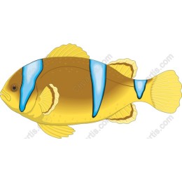 Vibrant Tropical Fish