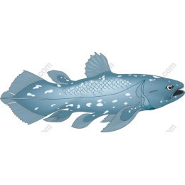 Coelacanth