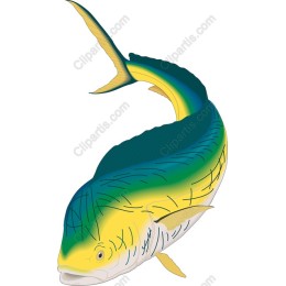Mahi-Mahi
