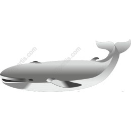 Majestic Whale