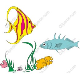 Underwater Wonders: Colorful Fish