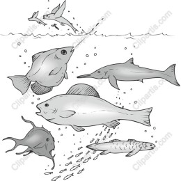 Marine Life: Underwater Wonders