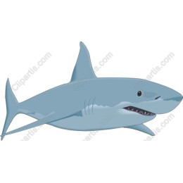 Shark