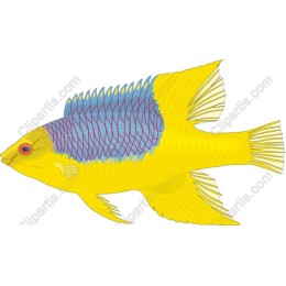 Vibrant Colorful Fish
