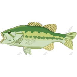Bass Fish