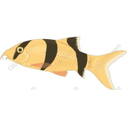 Tropical Fish - Vibrant Yellow and Black