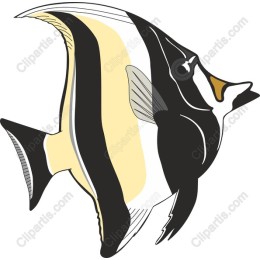 Majestic Marine Fish
