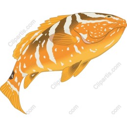Vibrant Orange-Striped Fish