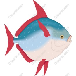 Vibrant Fish
