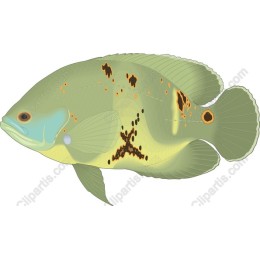 Vibrant Green Fish