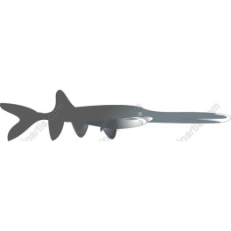 Sawfish