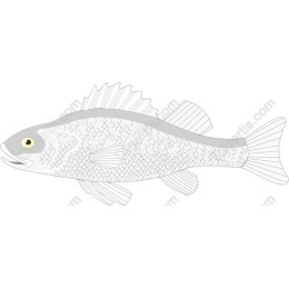 Fishs