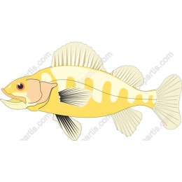 Vibrant Yellow Fish