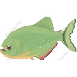 Vibrant Green Fish