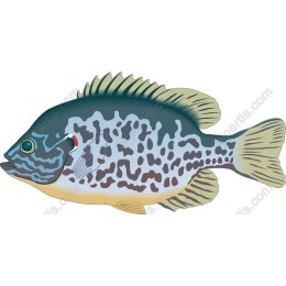 Bluegill Fishwork