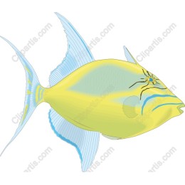 Vibrant Yellow Fish