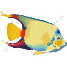 Tropical Fish