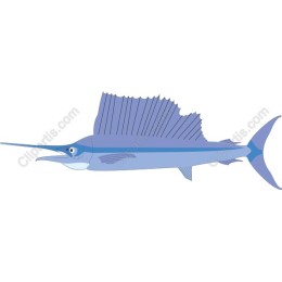 Sailfish