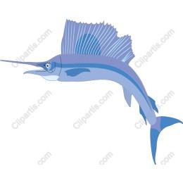 Elegant Marlin