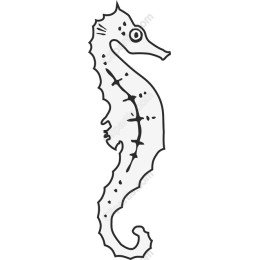 Charming Seahorse