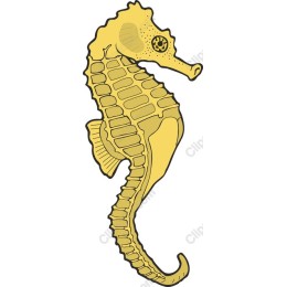 Yellow Seahorse