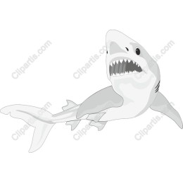 Fierce Shark