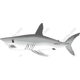 Fierce Shark