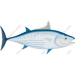 Elegant Marine Fish