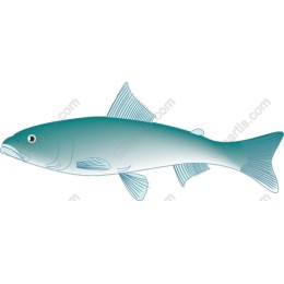 Stylish Fish