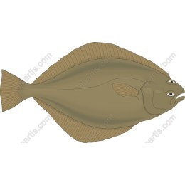 Flounders