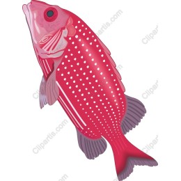 Vibrant Pink Fish
