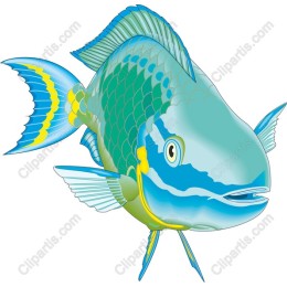 Vibrant Tropical Fish